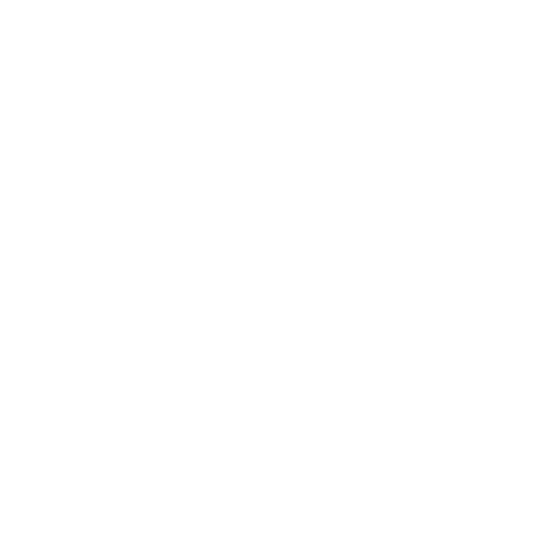 All on 6 Implant
